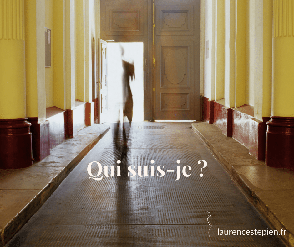 qui suis je pape leon xiv